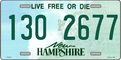 NH license plate 1302677