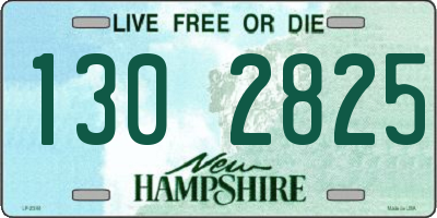 NH license plate 1302825