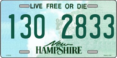 NH license plate 1302833
