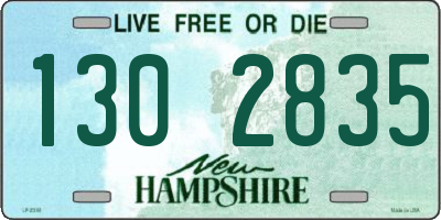 NH license plate 1302835