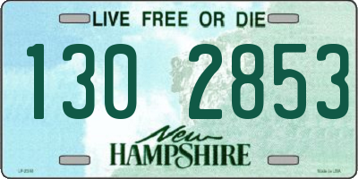 NH license plate 1302853