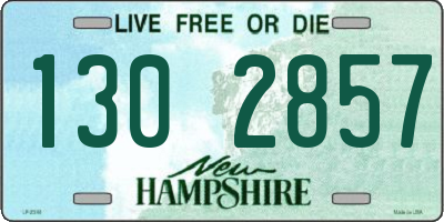 NH license plate 1302857