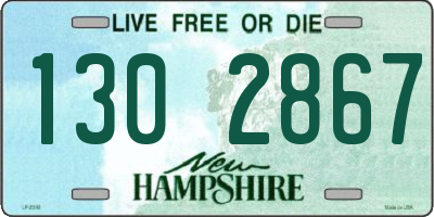NH license plate 1302867