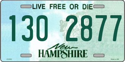 NH license plate 1302877
