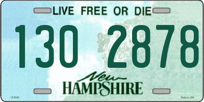 NH license plate 1302878