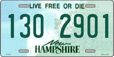 NH license plate 1302901