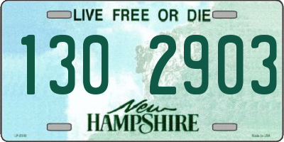 NH license plate 1302903