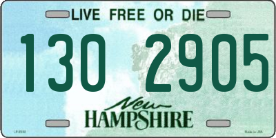 NH license plate 1302905
