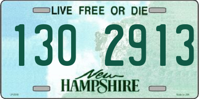 NH license plate 1302913