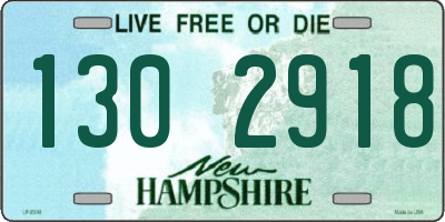 NH license plate 1302918
