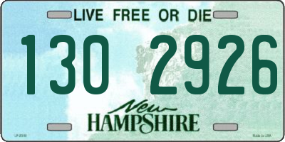 NH license plate 1302926