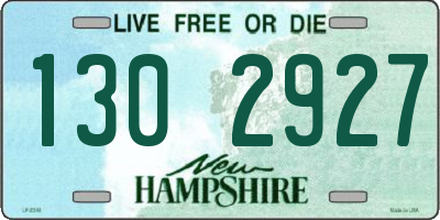 NH license plate 1302927