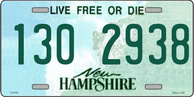 NH license plate 1302938