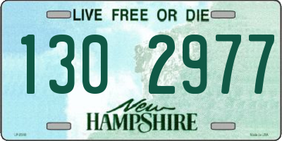 NH license plate 1302977