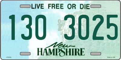 NH license plate 1303025