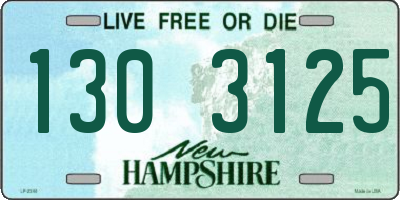 NH license plate 1303125