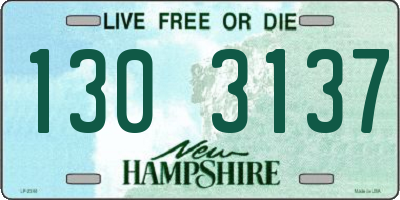 NH license plate 1303137