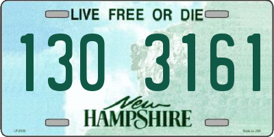 NH license plate 1303161