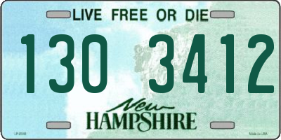 NH license plate 1303412