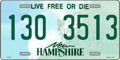 NH license plate 1303513
