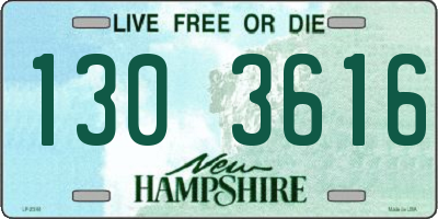 NH license plate 1303616