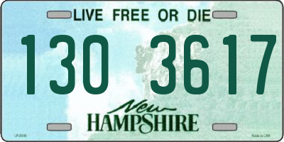 NH license plate 1303617
