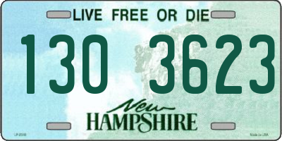 NH license plate 1303623
