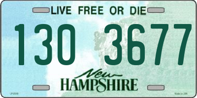 NH license plate 1303677