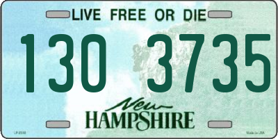 NH license plate 1303735