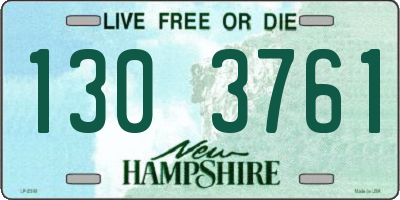 NH license plate 1303761