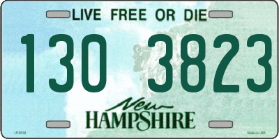 NH license plate 1303823