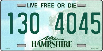NH license plate 1304045
