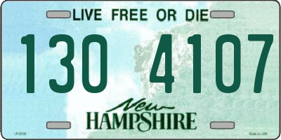 NH license plate 1304107