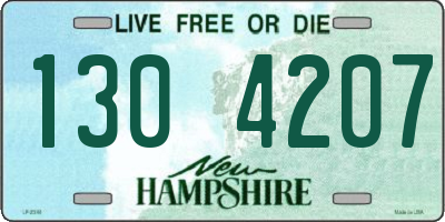 NH license plate 1304207