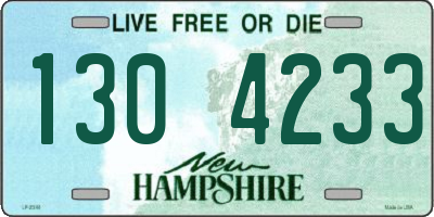 NH license plate 1304233
