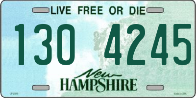 NH license plate 1304245