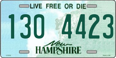 NH license plate 1304423