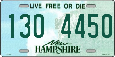 NH license plate 1304450