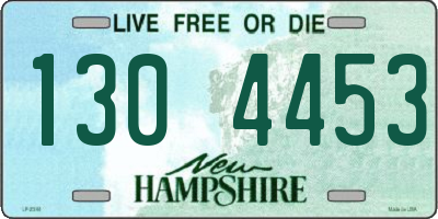 NH license plate 1304453