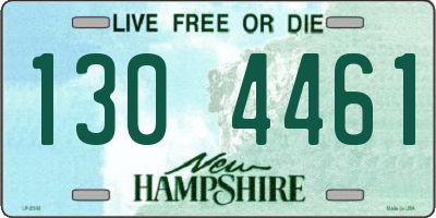 NH license plate 1304461