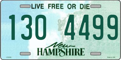 NH license plate 1304499