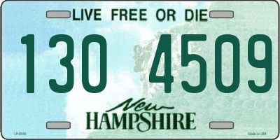 NH license plate 1304509