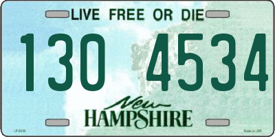 NH license plate 1304534