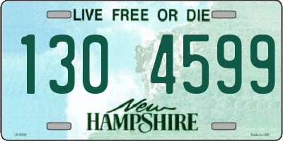 NH license plate 1304599