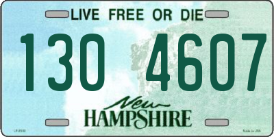 NH license plate 1304607
