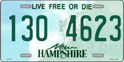 NH license plate 1304623