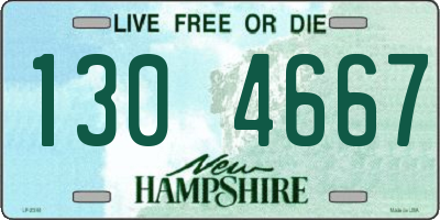 NH license plate 1304667