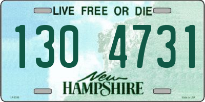 NH license plate 1304731