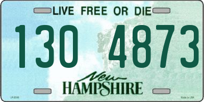 NH license plate 1304873