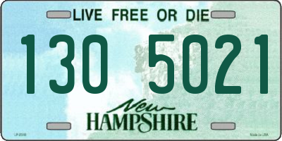 NH license plate 1305021